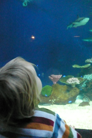 Chiara im Aquarium
