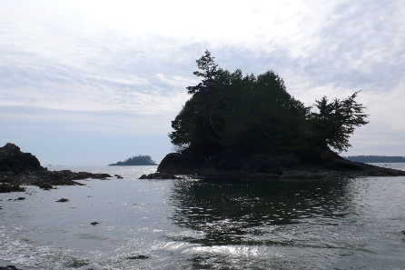 tofino.JPG