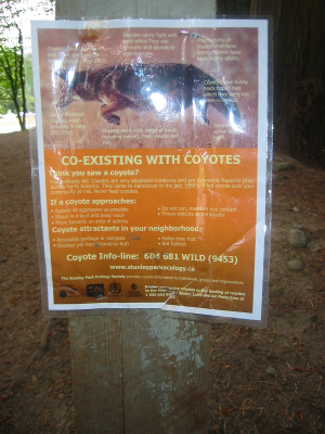 Warnung vor den Koyoten