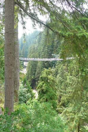 Die Brücke von der Seite